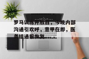 罗马训练开放日，今晚内部沟通引欢呼，意甲在即，医务组通报恢复的简单介绍-英雄联盟电竞